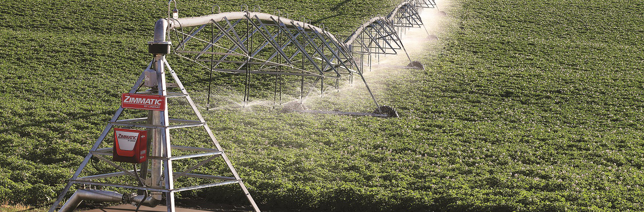 Irrigação eficiente precisa ser sustentável e econômica